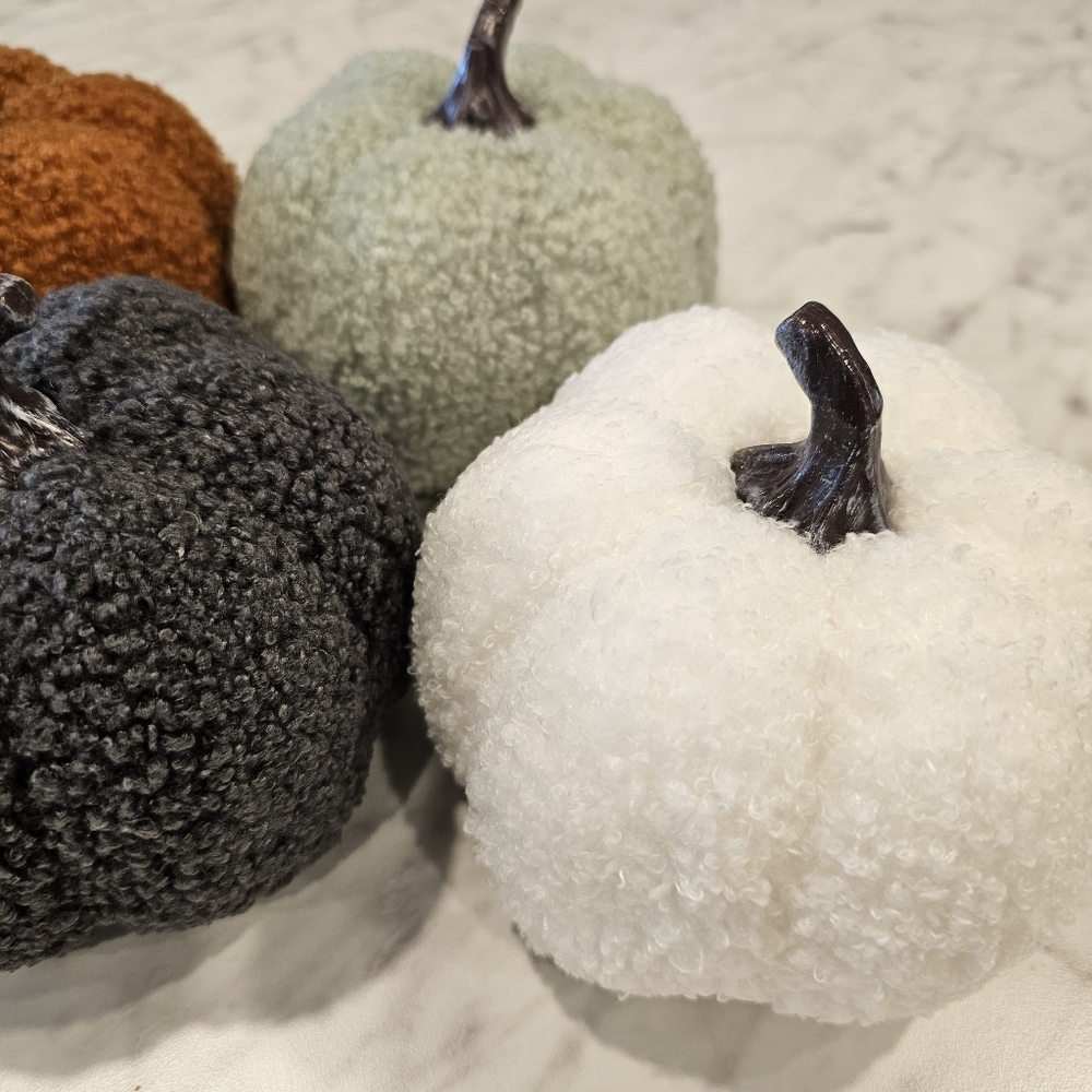 Sherpa Pumpkins Set of 4 Medium - Picture 9 of 13